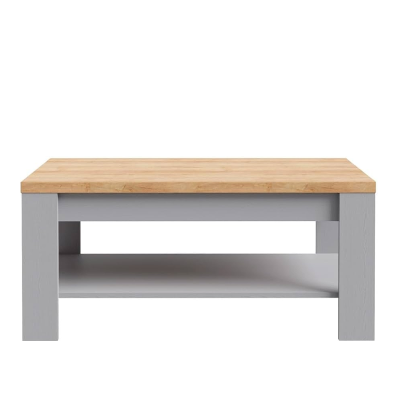 Mesa de Centro Bohol Gris y Efecto Roble con Estante Inferior | 100x60x46 cm