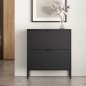Zapatero Titania 80 cm Metálico Negro 2 Puertas
